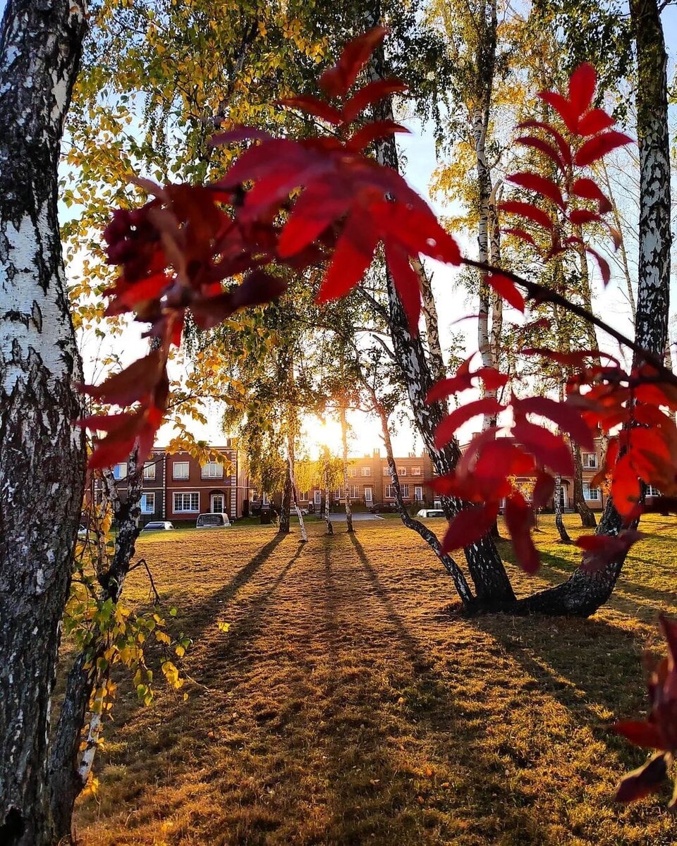 Осенние пейзажи с территории поселка