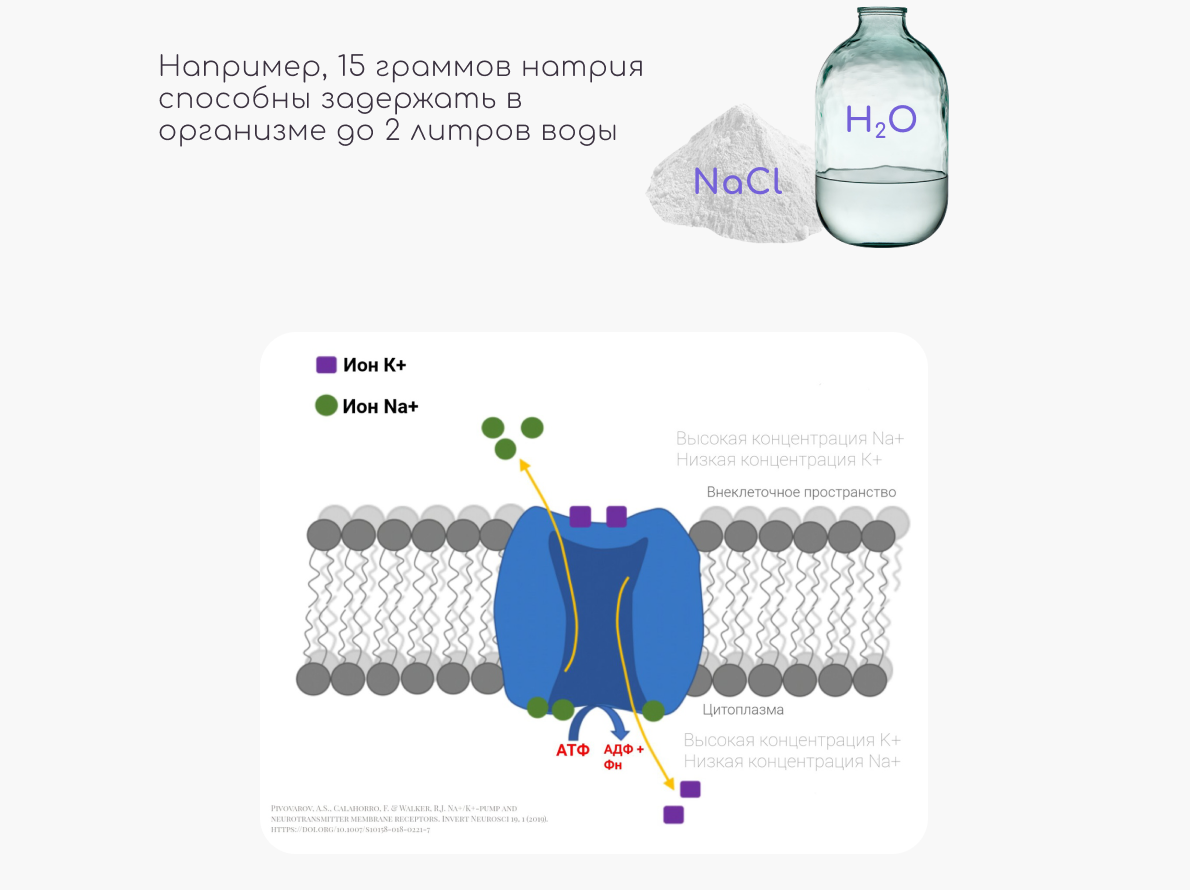 Щелочные металлы и их применение | Александр Сеченов из медицинской ...