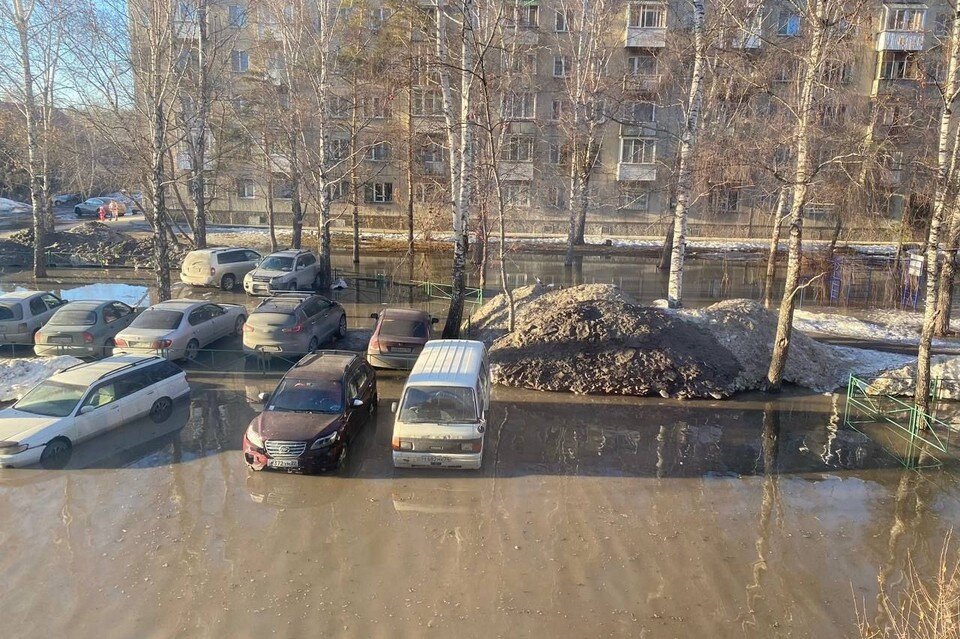     Микрорайон "Чистая Слобода в Новосибирске" затопило нечистотами. Фото: предоставлено Ольгой Стяжкиной