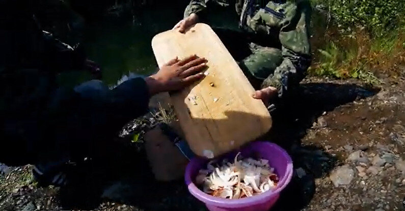 Засыпать ребчатым луком и добавить соль и перец