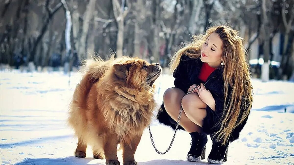 Фото: pxfuel.com