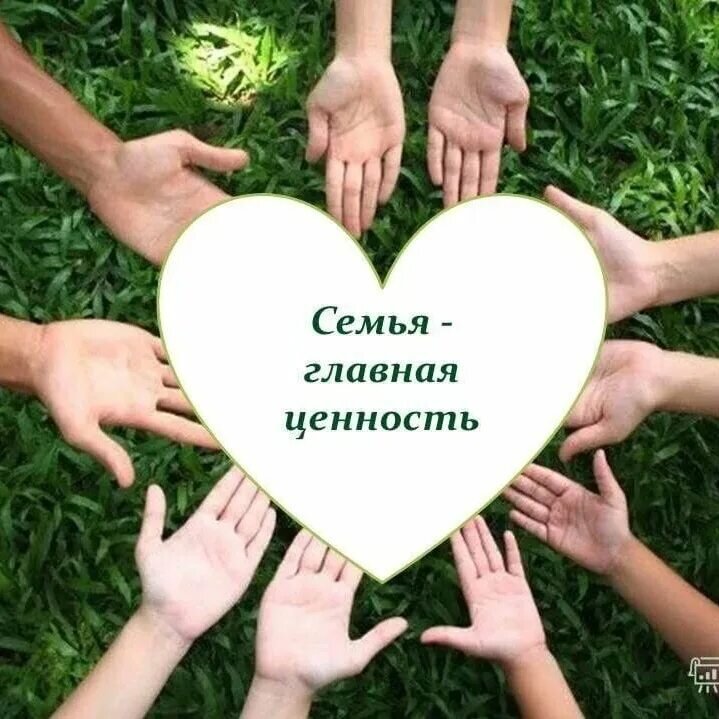 Яндекс. Картинки.