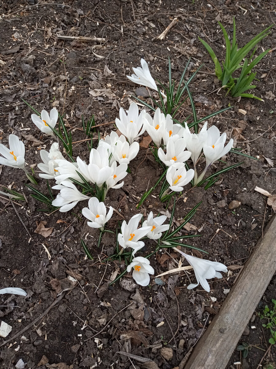 Фото автора. 