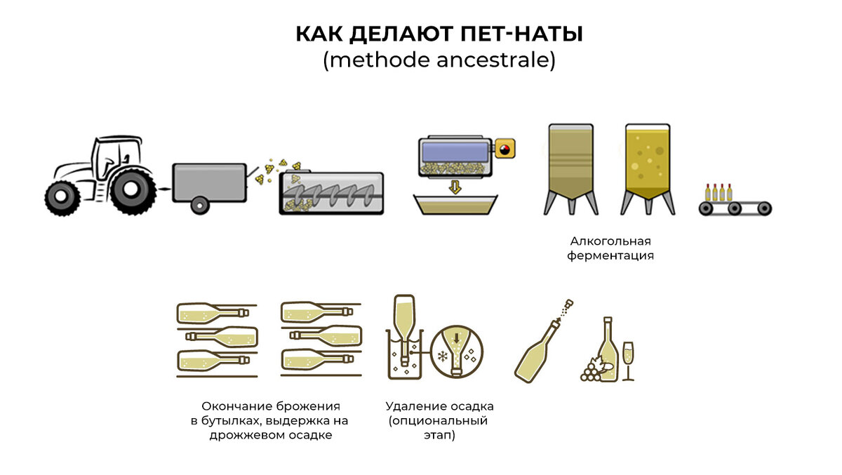 Пет-наты, короткий ликбез: самые необычные игристые вина | Такое Вино | Дзен