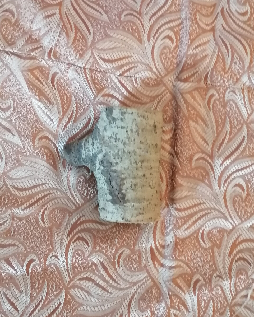 спил ветки Осины