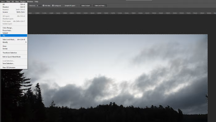 Опция Photoshop "Выбрать небо" работает удивительно хорошо, даже на горизонте, покрытым лесом