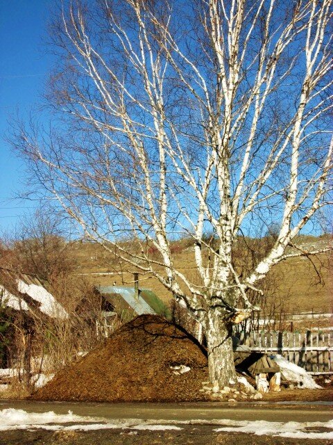 Реализация конского навоза дополнительная, но весьма значимая услуга Подворья "Уральский коник".