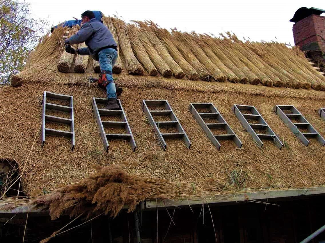 Крыша из камыша (кровля) — монтаж камышовой крыши от ROOFREED