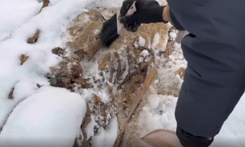     Фото: скриншот видео