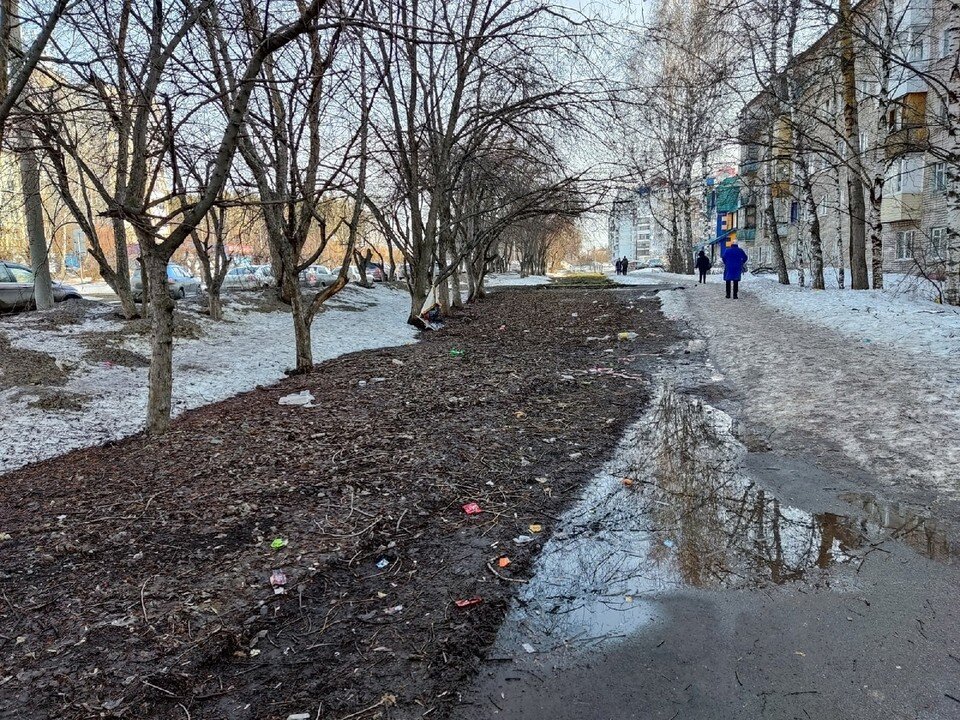     Жители поселка Светлый жалуются на лужи из-за таяния снега. Фото: Анна Ковалева