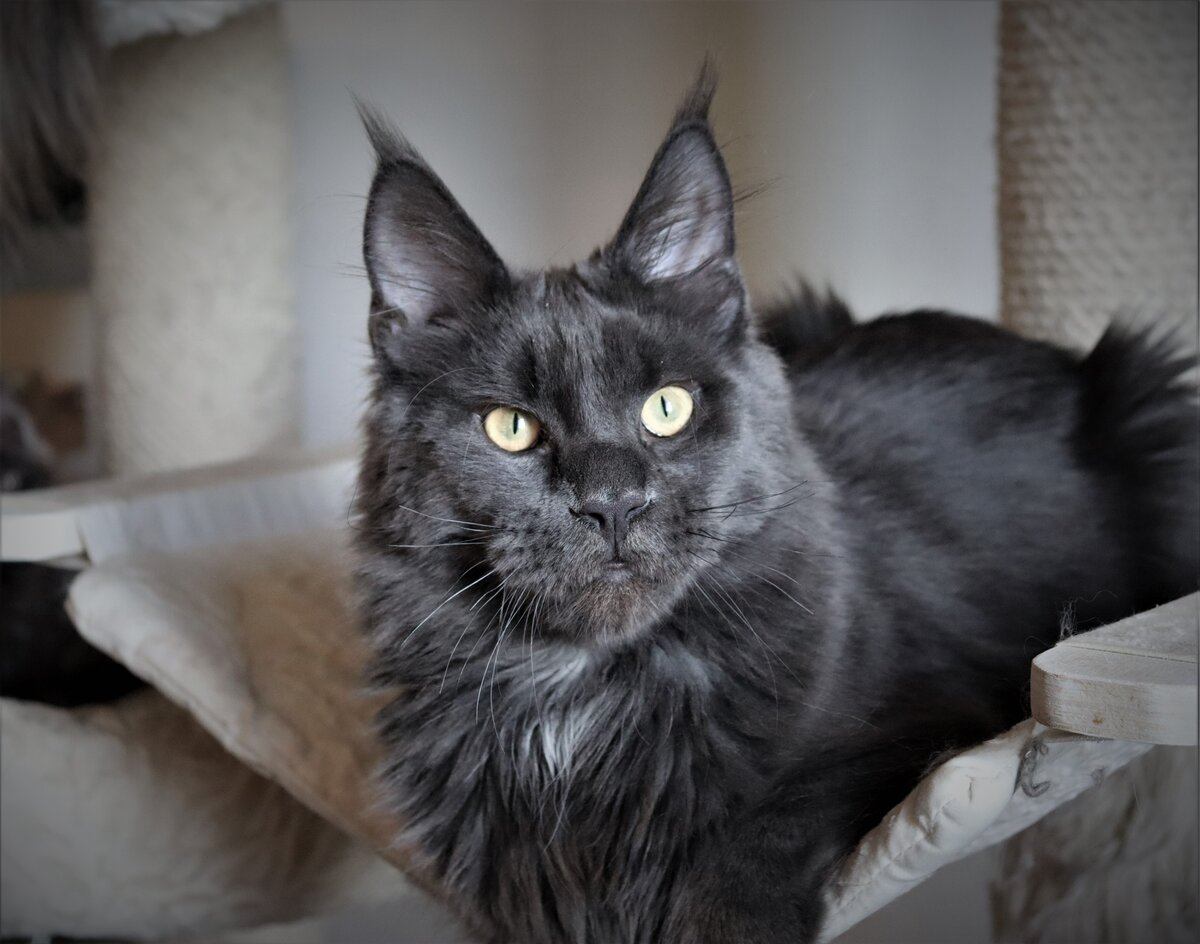 Фото из личного архива.