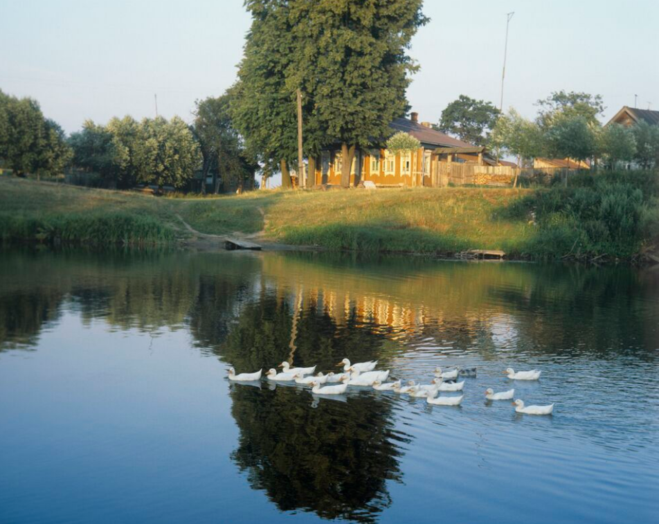 Фото Ю. Кавера / РИА Новости