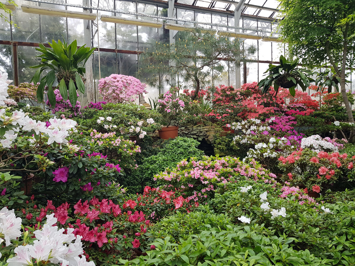 Фотография автора