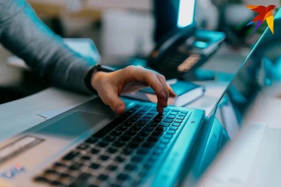     В Беларуси компанию, оказывающую образовательные услуги в IT, поймали на уклонении от уплаты налогов. Фото: архив «КП» Мария Бакланова