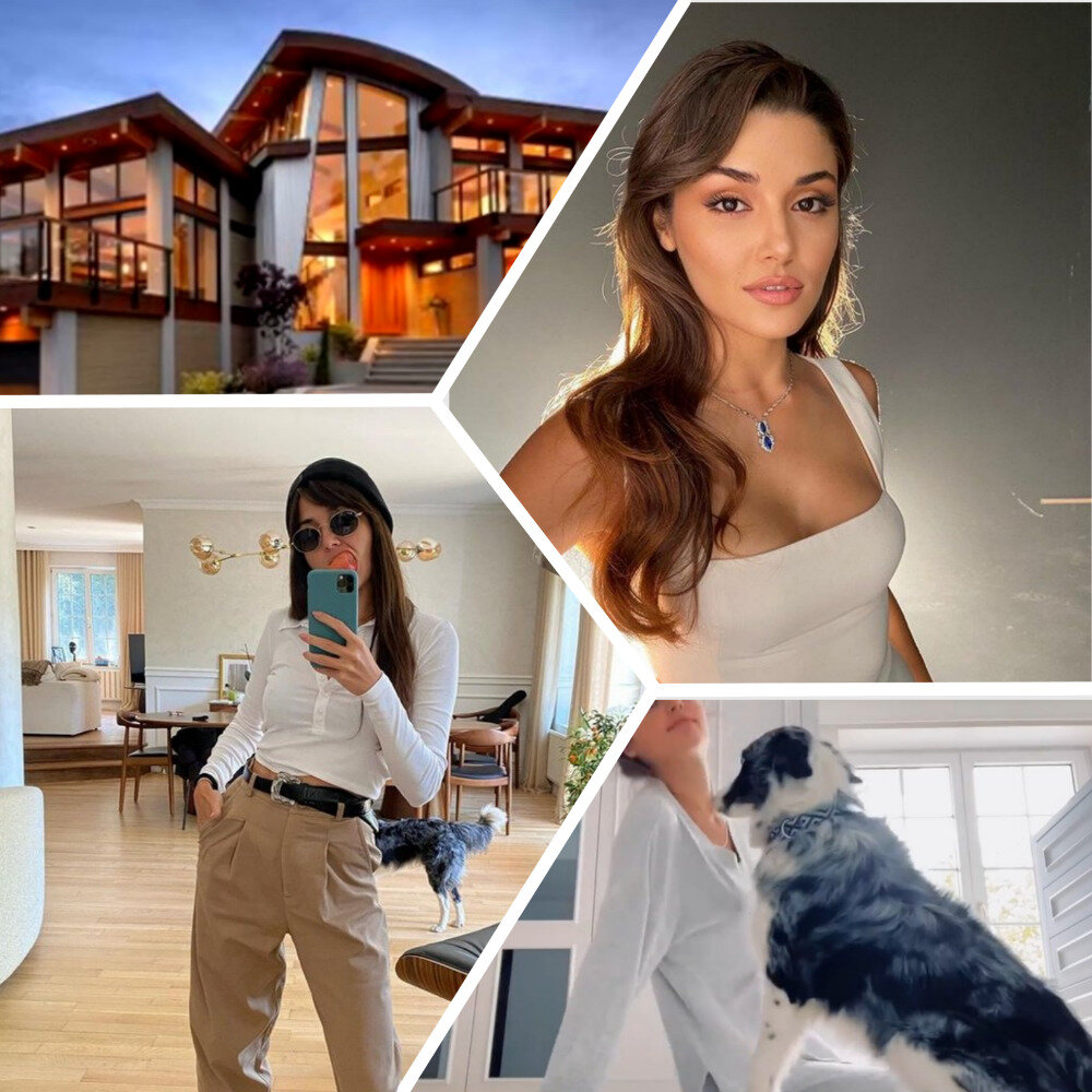 коллаж автора