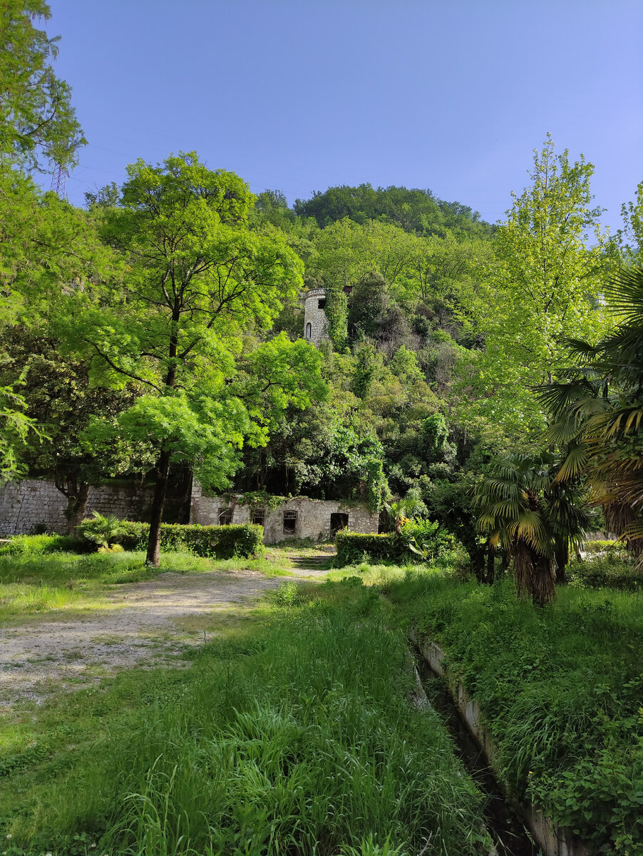Старый парк в Старых Гаграх 