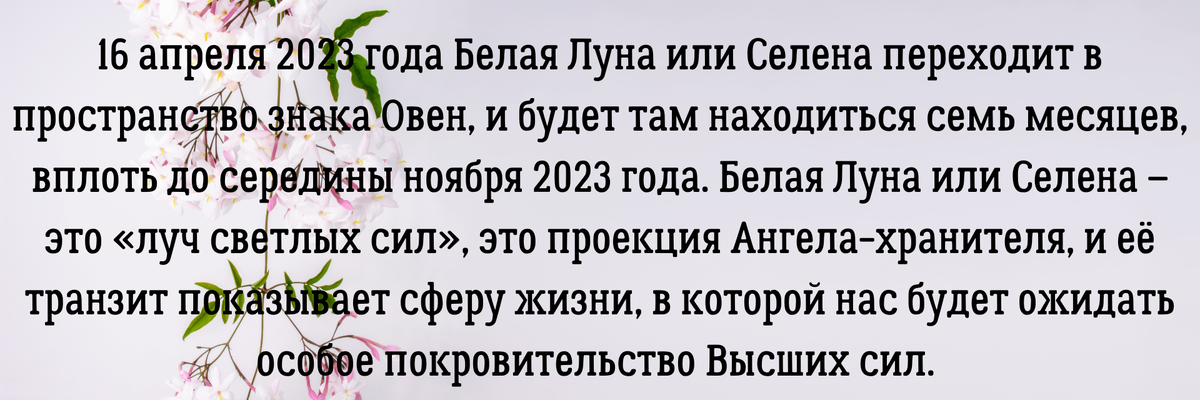 Вы можете заказать гороскоп или личный расклад по электронной почте – angelica.keiner@yandex.ru. Услуга платная. 