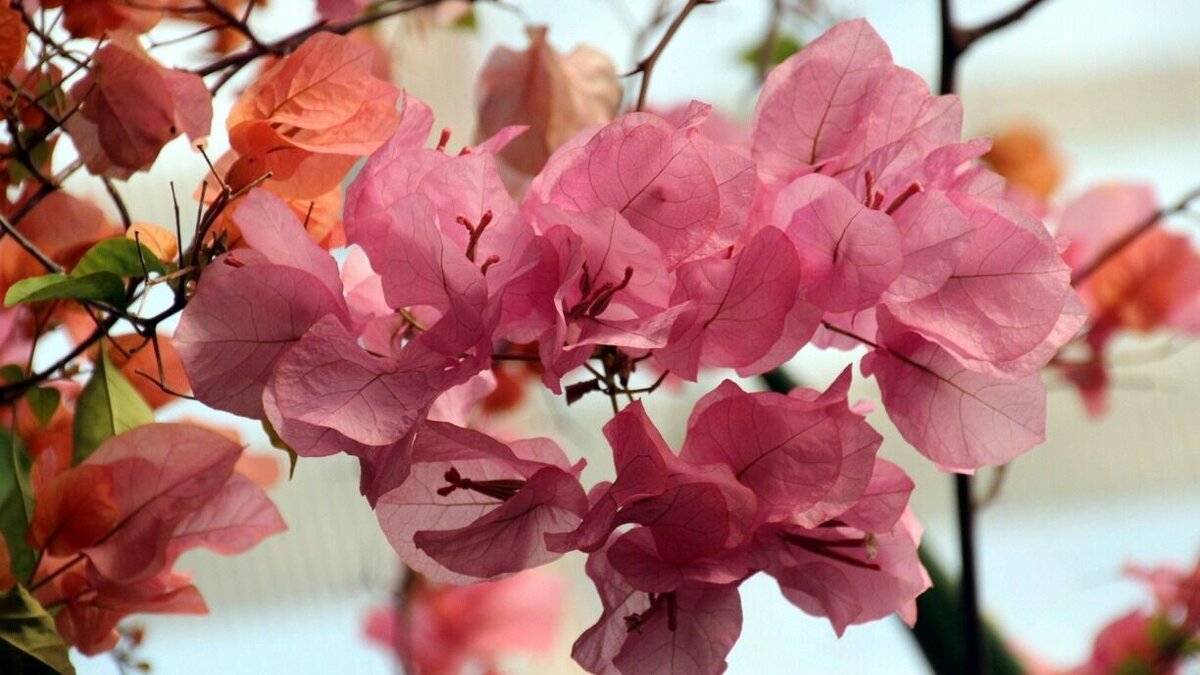     С 10 по 16 апреля ожидается потепление в Ростовской области до дневной температуры в 21 градус, сообщают метеорологи.