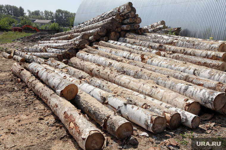    Администрацией города признаны аварийными 40 зеленых насаждений