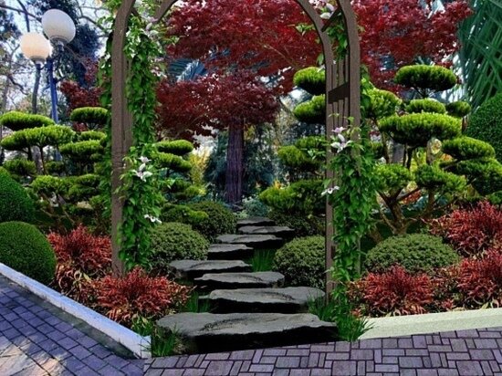     фото: администрация Сочи