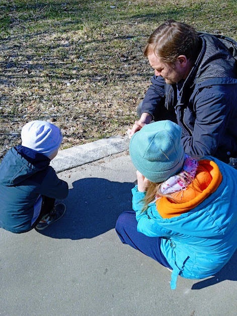 Это мои увидели жучка - великое явление)) Все вместе гадали, что это за жучок такой))