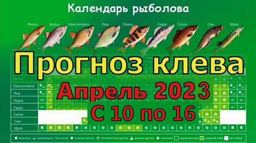 Прогноз клева рыбы на Эту неделю с 10 по 16 Апреля Календарь рыбака на  Апрель Лунный календарь рыбака | Рыболовные Приключения | Дзен