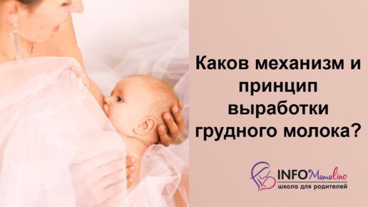 Изменение груди во время беременности: как меняется, причины | Philips Avent