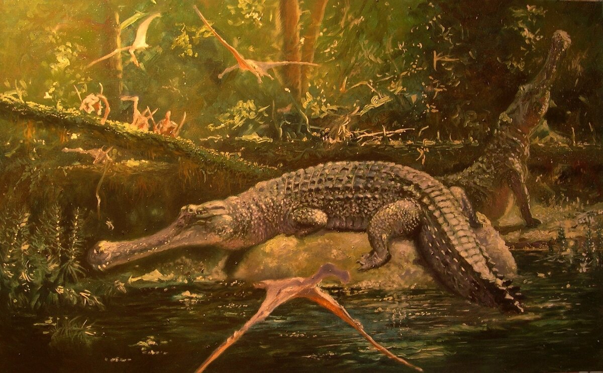 Саркозух (Sarcosuchus) – гавиал-переросток. | Paleo-end-arthropods ...