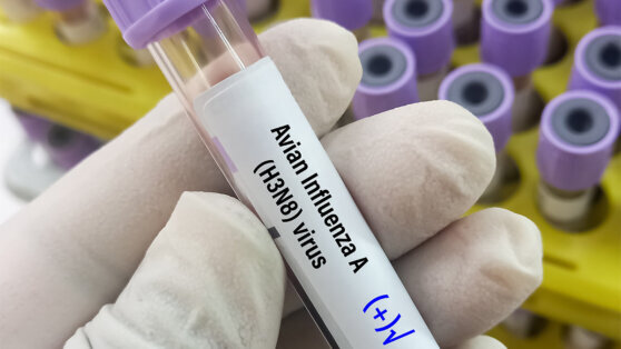    Первую в мире смерть человека от птичьего гриппа подтипа H3N8 зафиксировали в Китае Сергей Бунеев