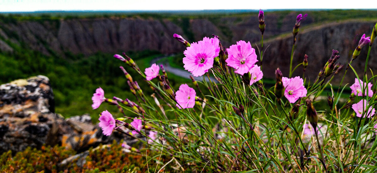 Фото Леонид Талеев