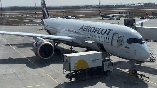 Дальний восток. Часть 3. Перелёт Хабаровск-Москва. Airbus A350.