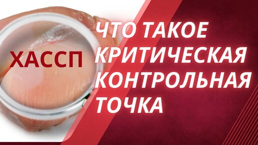 Что такое критическая контрольная точка (ККТ) в системе ХАССП