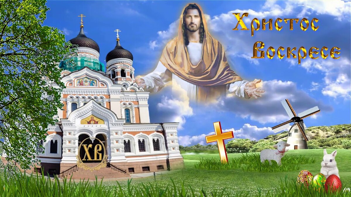 Фото из открытого источника 