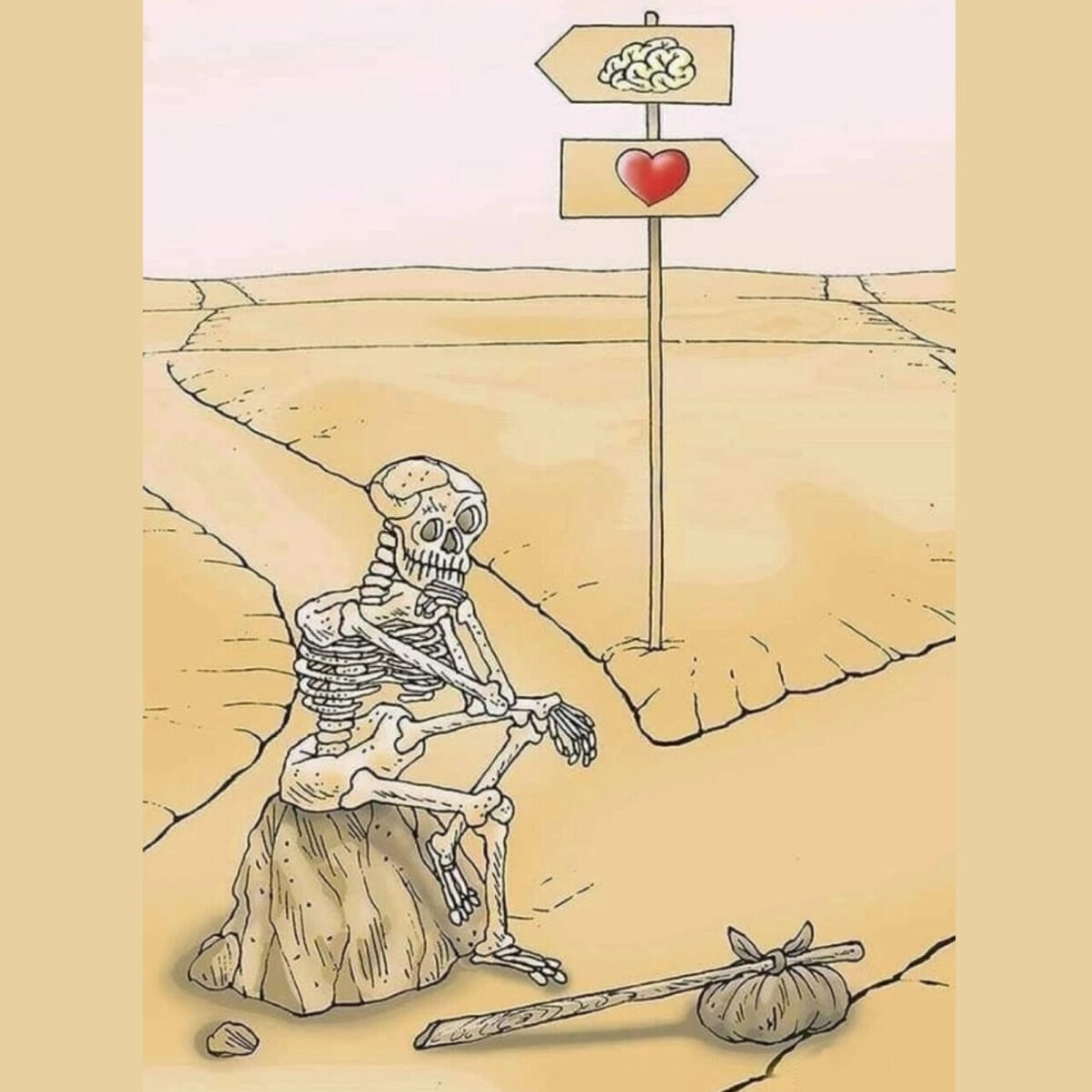 Фото из инета.