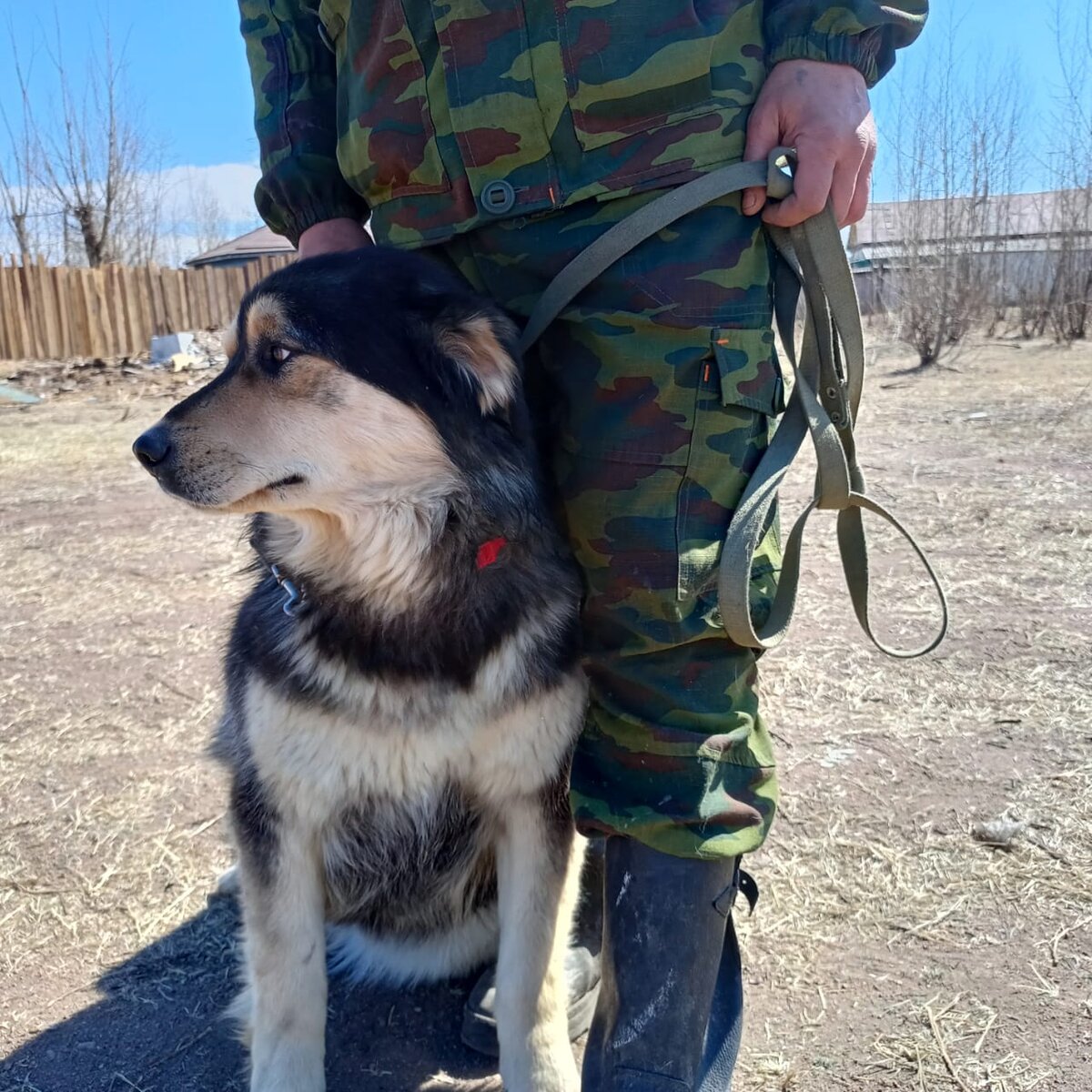 Гуляем