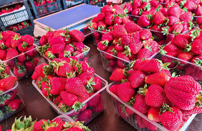    Денис Воронин/АГН «Москва»