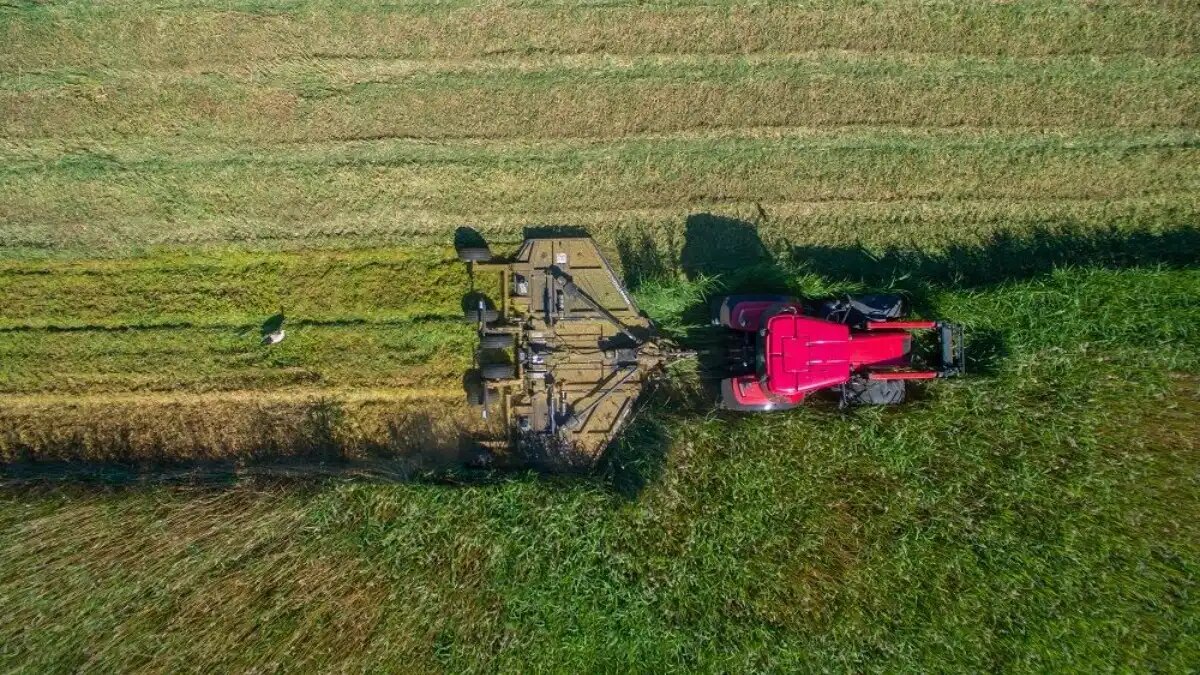 Фото: «АгроТехСфера» Обновленная роторная мульчирующая косилка Pronar KPR500