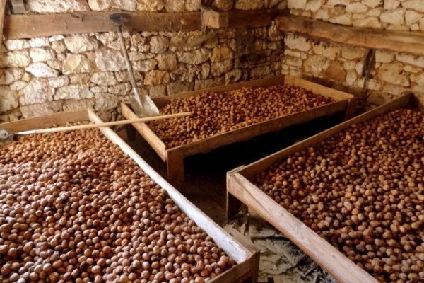 Как хранить грецкие орехи - Лайфхакер