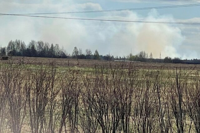    Фото: АиФ в Твери