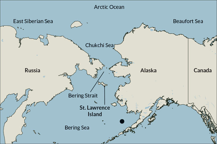 Найти на карте берингов пролив. Берингов пролив проливы. Берингово море и Берингов пролив на карте. Аляска Берингов пролив. Берингов пролив на карте России.
