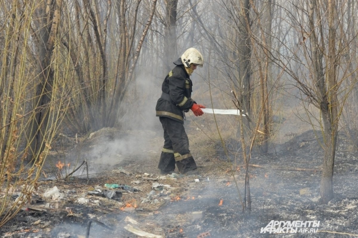   В Омской области введён особый противопожарный режим