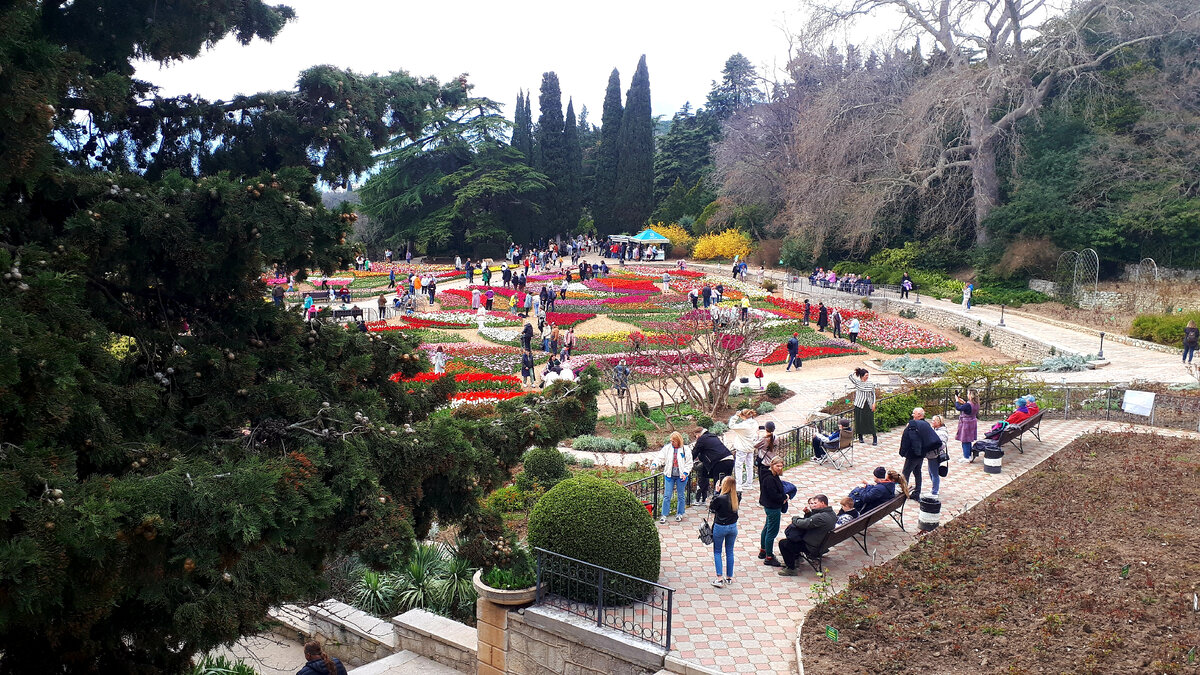 Парад тюльпанов в Никитском ботаническом саду