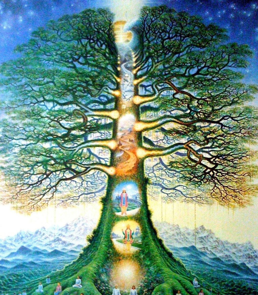 Из открытых интернет источников 