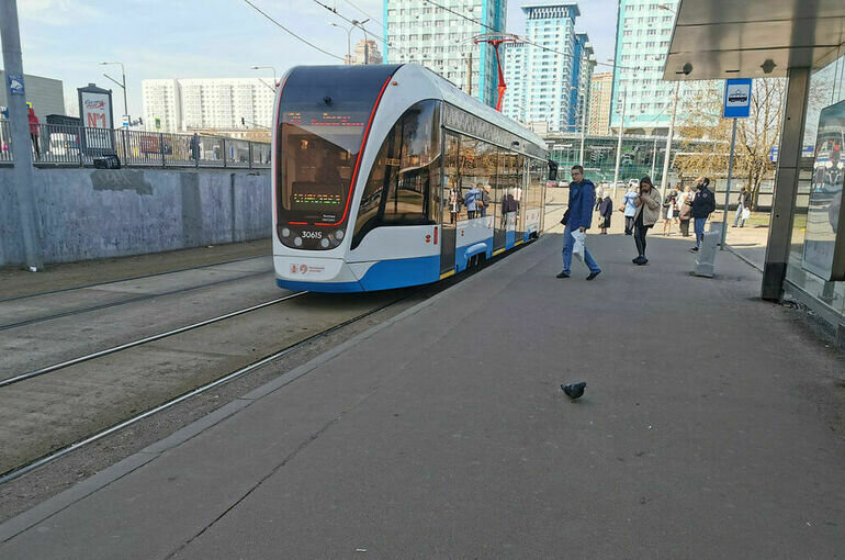   Игорь Самохвалов/ПГ