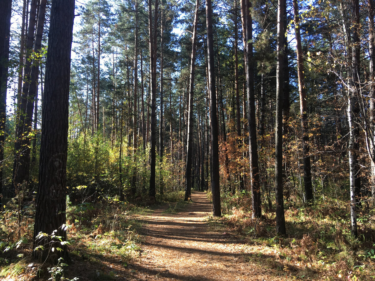 Фото из личного архива