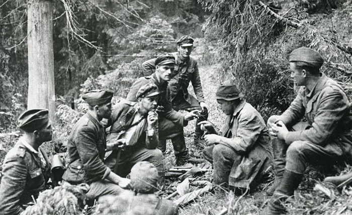 Повстанцы в лесу