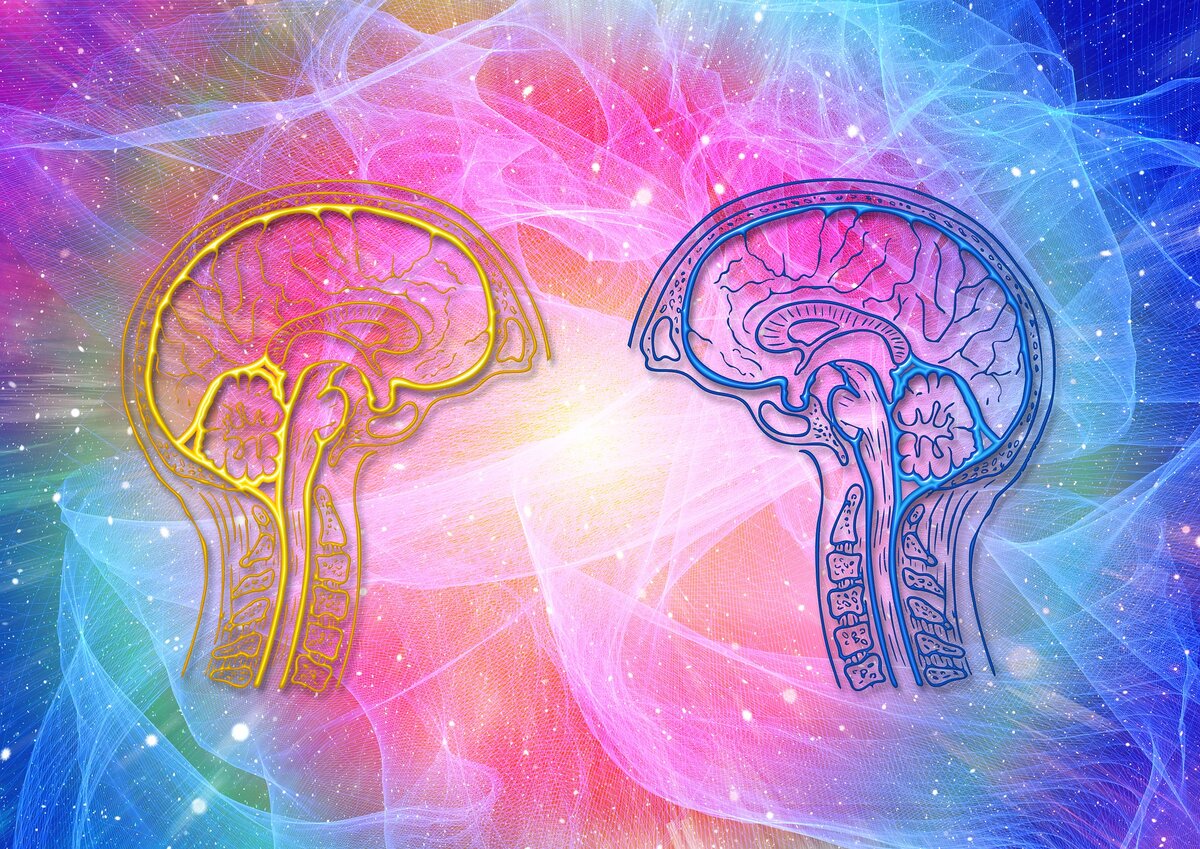 Источник: Pixabay