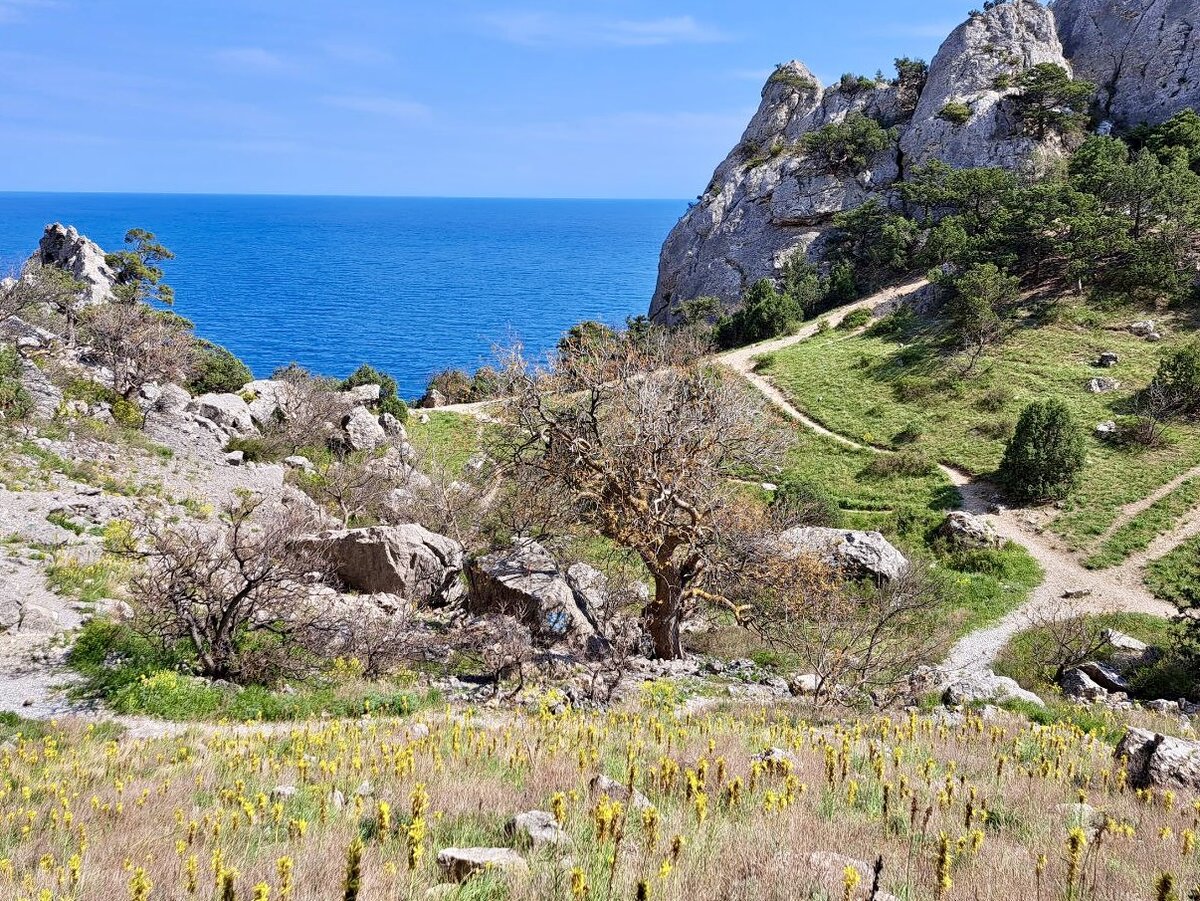 Новый свет Крым часовня Луки Крымского