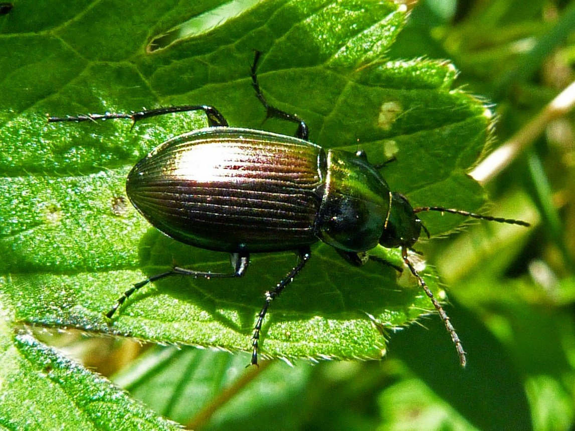 фото из Интернета