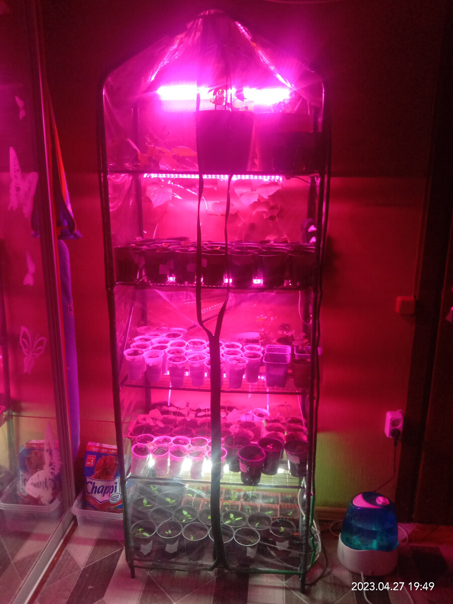 теплица для квартиры)